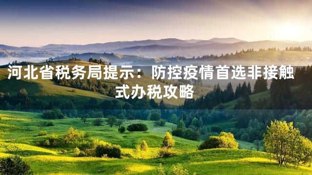 河北省税务局提示：防控疫情首选非接触式办税攻略