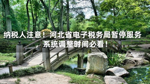 纳税人注意！河北省电子税务局暂停服务，系统调整时间必看！