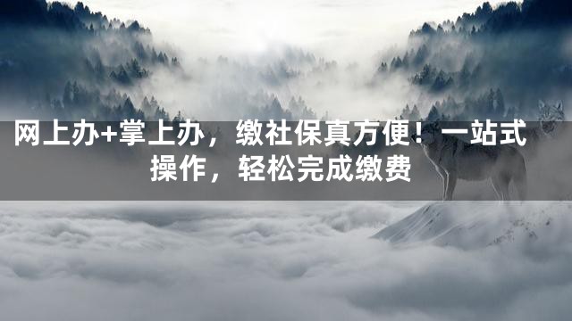 网上办+掌上办，缴社保真方便！一站式操作，轻松完成缴费