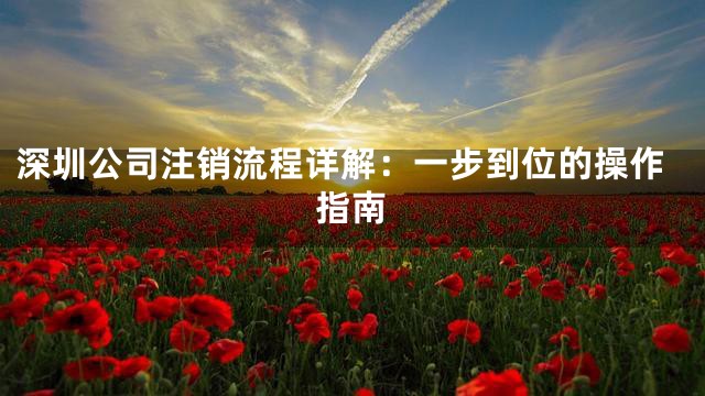 深圳公司注销流程详解：一步到位的操作指南