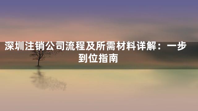深圳注销公司流程及所需材料详解：一步到位指南