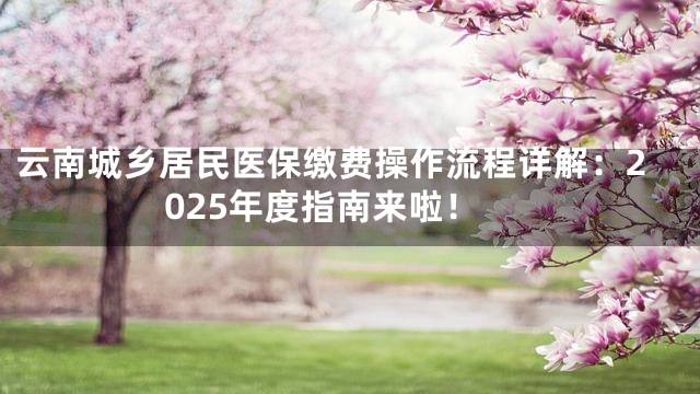 云南城乡居民医保缴费操作流程详解：2025年度指南来啦！