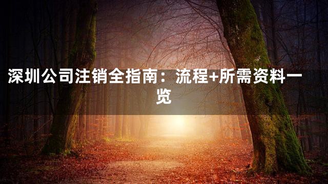 深圳公司注销全指南：流程+所需资料一览