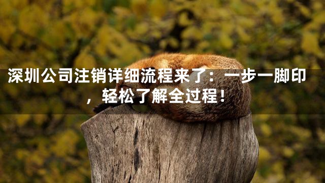深圳公司注销详细流程来了：一步一脚印，轻松了解全过程！