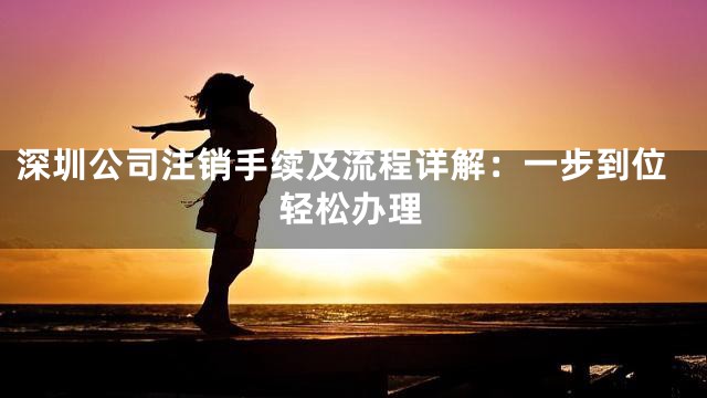深圳公司注销手续及流程详解：一步到位轻松办理