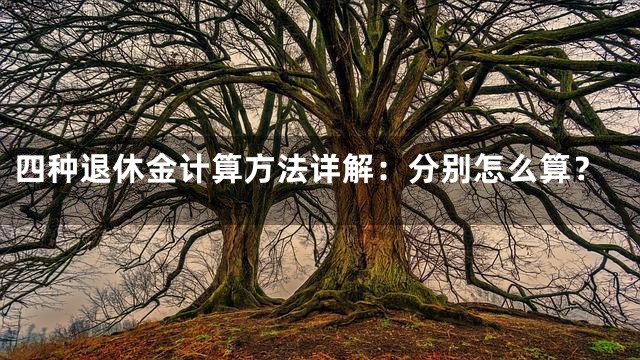 四种退休金计算方法详解：分别怎么算？