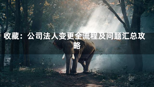 收藏：公司法人变更全流程及问题汇总攻略