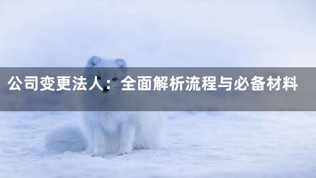 公司变更法人：全面解析流程与必备材料