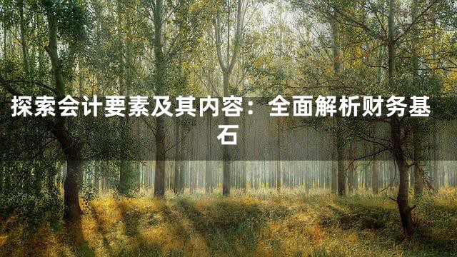 探索会计要素及其内容：全面解析财务基石