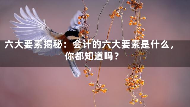 六大要素揭秘：会计的六大要素是什么，你都知道吗？