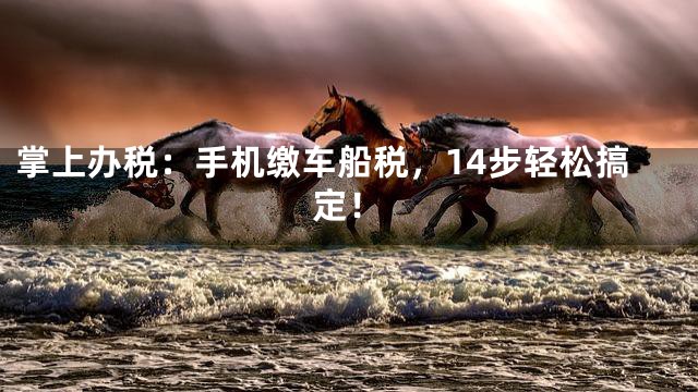 掌上办税：手机缴车船税，14步轻松搞定！