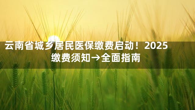 云南省城乡居民医保缴费启动！2025缴费须知→全面指南
