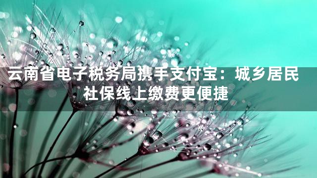 云南省电子税务局携手支付宝：城乡居民社保线上缴费更便捷