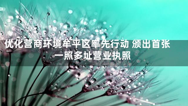 优化营商环境牟平区率先行动 颁出首张一照多址营业执照