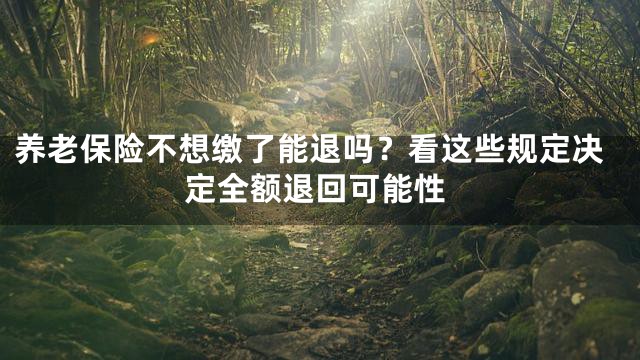 养老保险不想缴了能退吗？看这些规定决定全额退回可能性