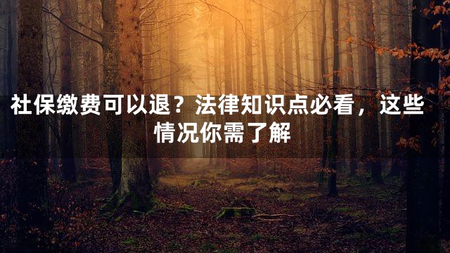 社保缴费可以退？法律知识点必看，这些情况你需了解