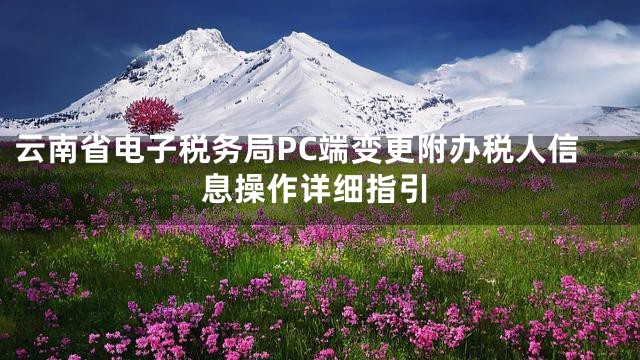 云南省电子税务局PC端变更附办税人信息操作详细指引