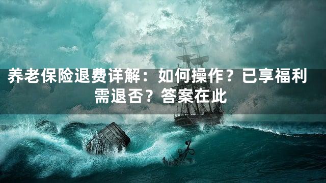 养老保险退费详解：如何操作？已享福利需退否？答案在此