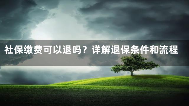 社保缴费可以退吗？详解退保条件和流程