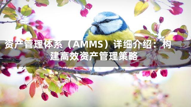 资产管理体系（AMMS）详细介绍：构建高效资产管理策略