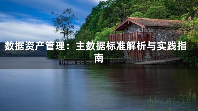 数据资产管理：主数据标准解析与实践指南