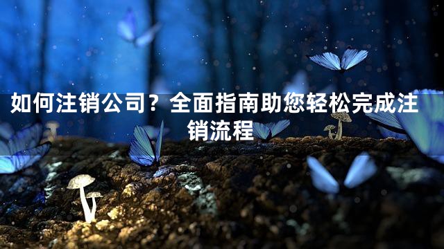 如何注销公司？全面指南助您轻松完成注销流程