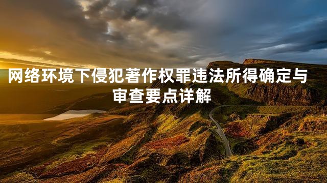 网络环境下侵犯著作权罪违法所得确定与审查要点详解