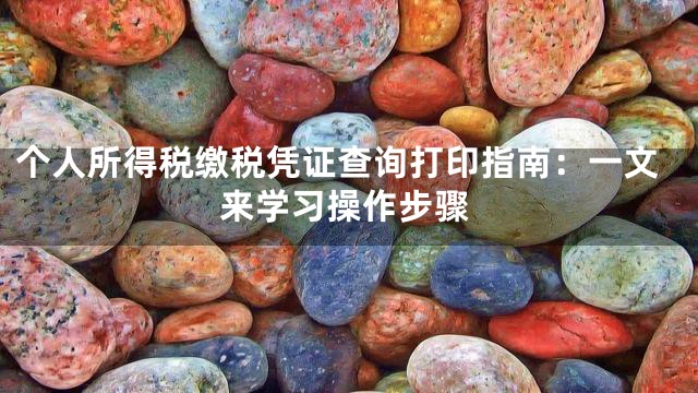 个人所得税缴税凭证查询打印指南：一文来学习操作步骤