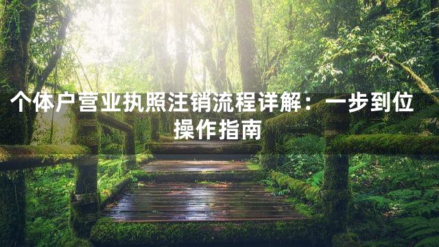 个体户营业执照注销流程详解：一步到位操作指南