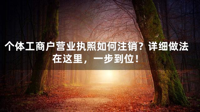 个体工商户营业执照如何注销？详细做法在这里，一步到位！