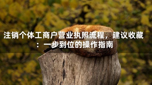 注销个体工商户营业执照流程，建议收藏：一步到位的操作指南