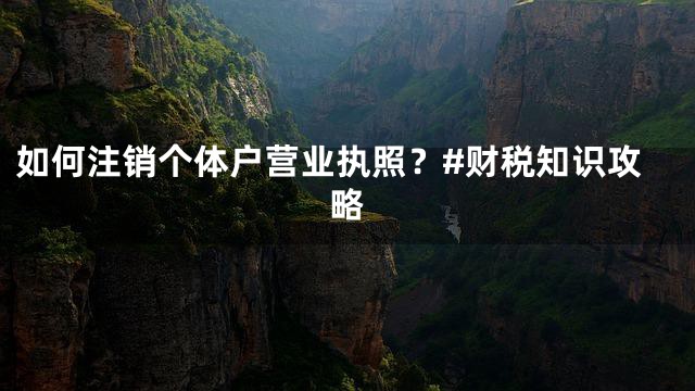 如何注销个体户营业执照？#财税知识攻略