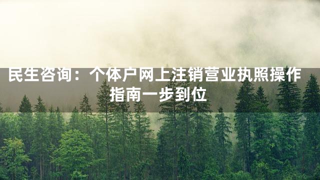 民生咨询：个体户网上注销营业执照操作指南一步到位