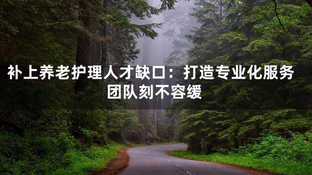 补上养老护理人才缺口：打造专业化服务团队刻不容缓