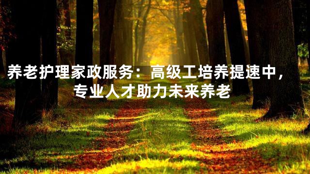 养老护理家政服务：高级工培养提速中，专业人才助力未来养老