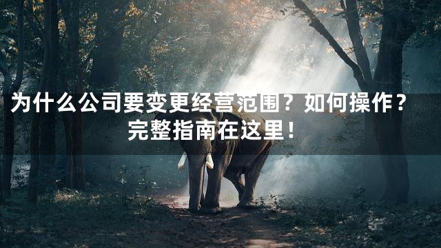 为什么公司要变更经营范围？如何操作？完整指南在这里！