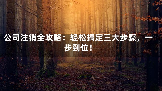 公司注销全攻略：轻松搞定三大步骤，一步到位！