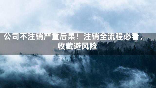 公司不注销严重后果！注销全流程必看，收藏避风险