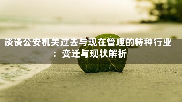 谈谈公安机关过去与现在管理的特种行业：变迁与现状解析