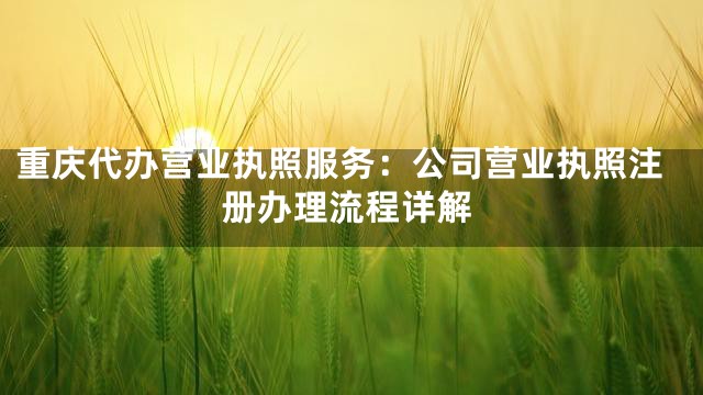重庆代办营业执照服务：公司营业执照注册办理流程详解