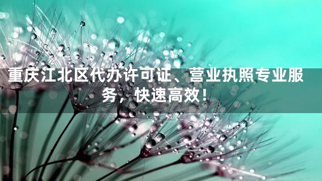 重庆江北区代办许可证、营业执照专业服务，快速高效！