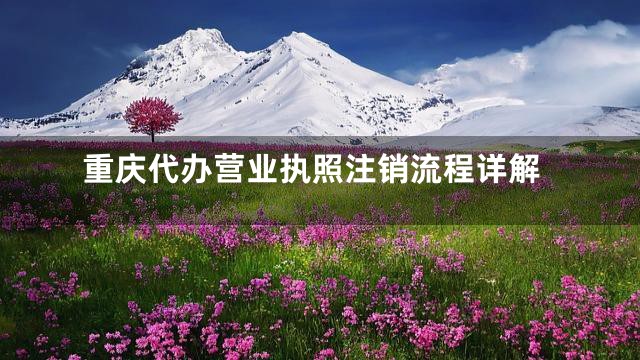 重庆代办营业执照注销流程详解