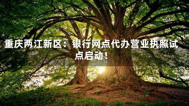 重庆两江新区：银行网点代办营业执照试点启动！