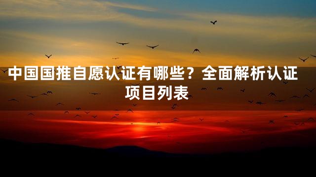 中国国推自愿认证有哪些？全面解析认证项目列表