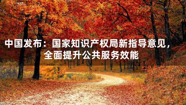 中国发布：国家知识产权局新指导意见，全面提升公共服务效能