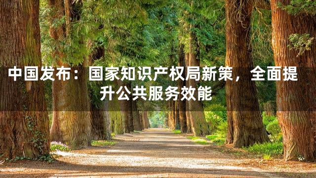 中国发布：国家知识产权局新策，全面提升公共服务效能