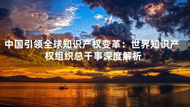 中国引领全球知识产权变革：世界知识产权组织总干事深度解析