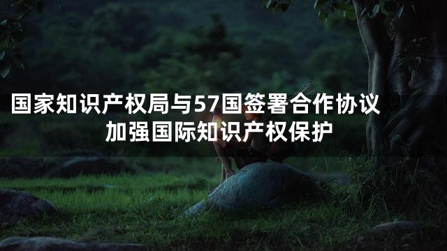 国家知识产权局与57国签署合作协议 加强国际知识产权保护