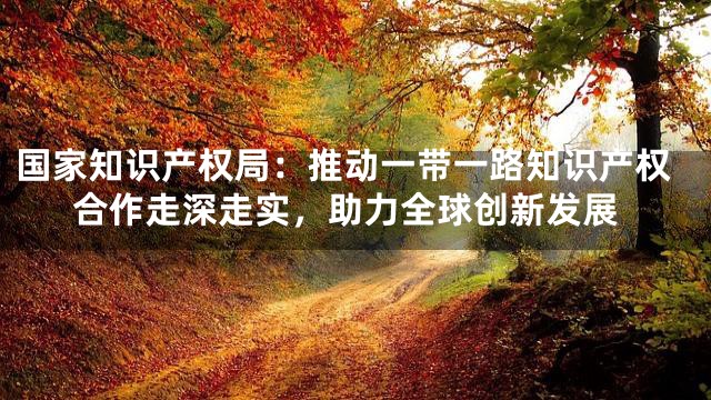 国家知识产权局：推动一带一路知识产权合作走深走实，助力全球创新发展