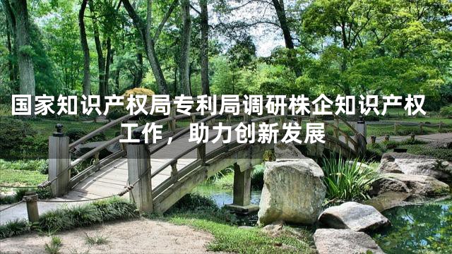 国家知识产权局专利局调研株企知识产权工作，助力创新发展